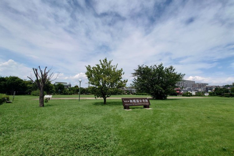 『Trattoria Legami』に隣接する相模国分寺跡の広大の緑地（撮影＝武田憲人）。