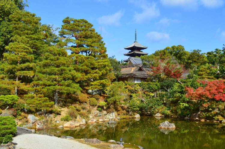 北庭の風景。仁和寺御所庭園は国指定名勝。