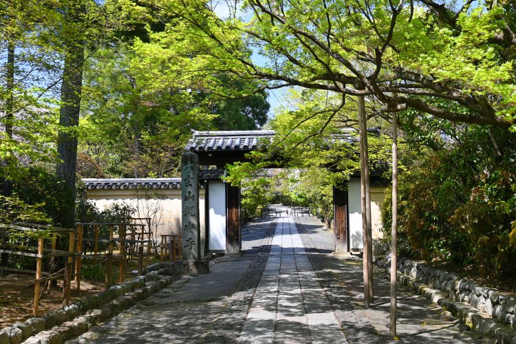 総門の先にまっすぐな参道が続く。