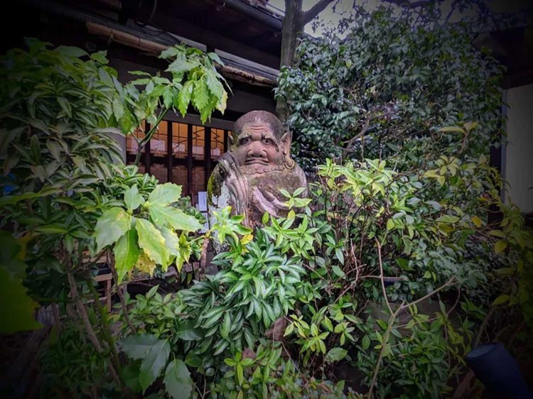 【酒場ナビ】小田原「だるま料理店」