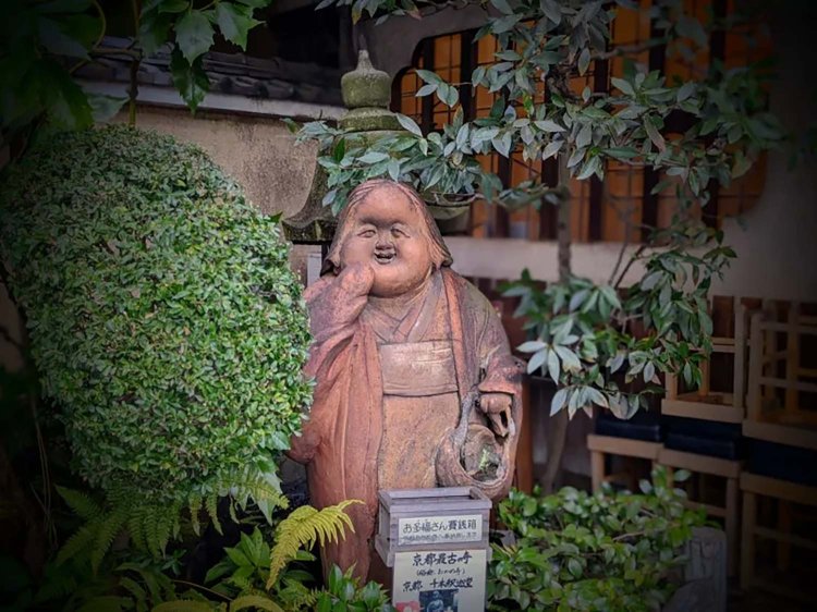 【酒場ナビ】小田原「だるま料理店」