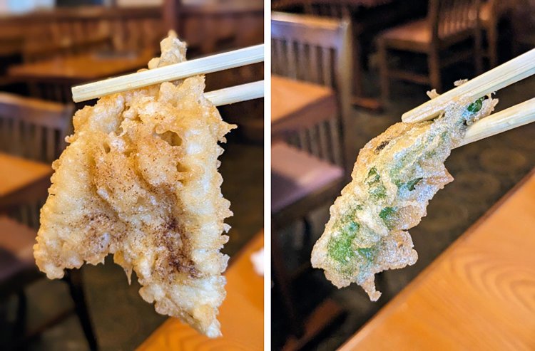 【酒場ナビ】小田原「だるま料理店」