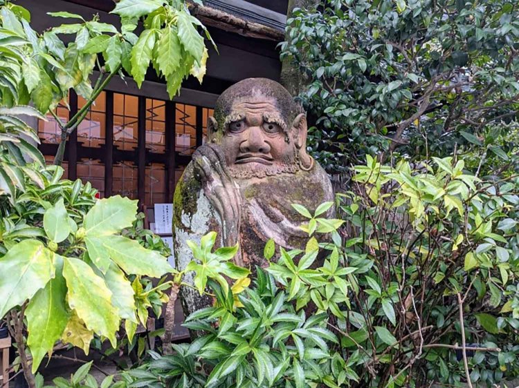 【酒場ナビ】小田原「だるま料理店」
