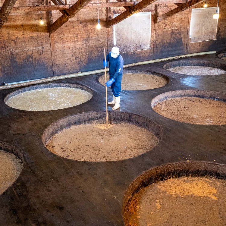 蔵付きの乳酸菌や酵母菌を生かした木桶での仕込みの様子もガラス越しに見学可。