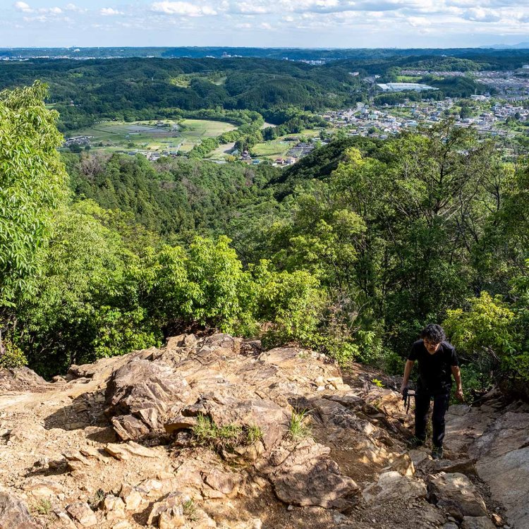 男坂の最上部から巾着田（左奥）を望む。