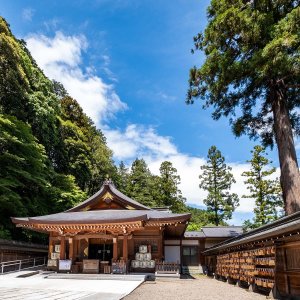 【徒然リトルジャーニー】埼玉県日高市～曼殊沙華の咲く巾着田に遠足の聖地。高麗郡1300年の歴史が息づく街を歩く