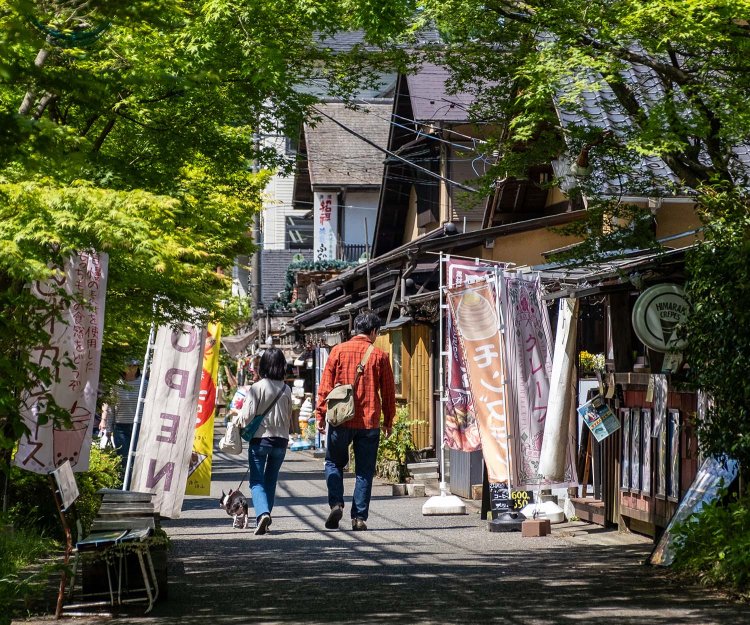 園地に隣接する水の郷商店街では8店が営業。