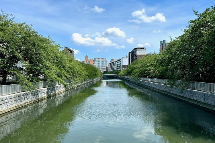 江戸城から見て横に流れることからその名がついたという大横川（撮影＝さんたつ編集部）。