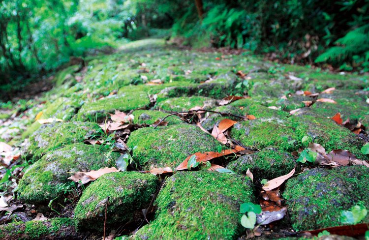 三輪崎側にだけ美しい石畳が残るのはなぜ？