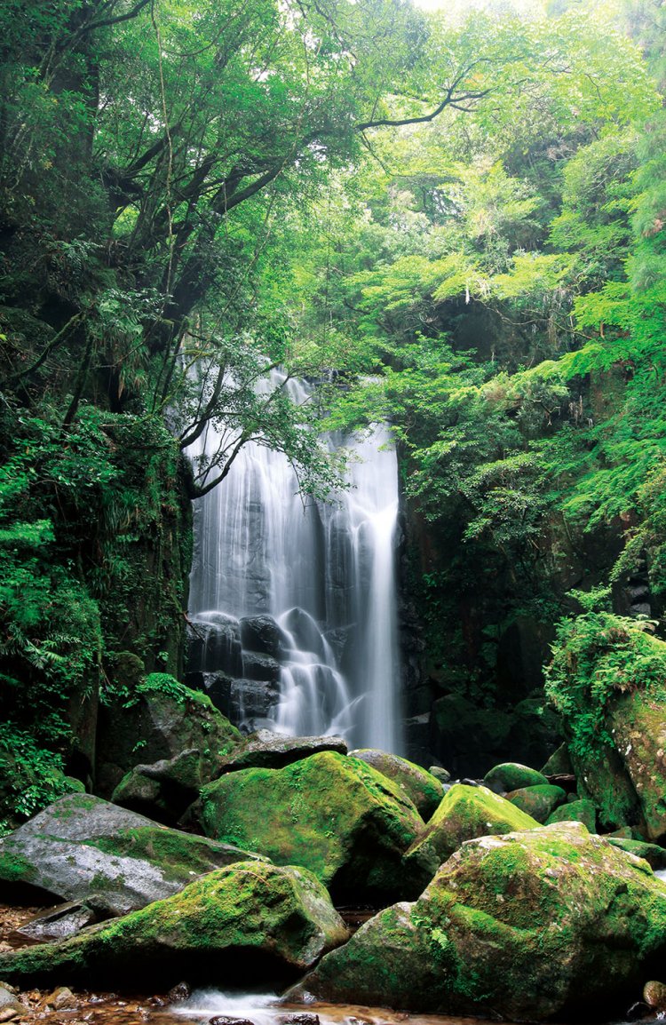 渓流沿いを歩くと現れる落差約21mの滝。あまり知られていない人里離れた場所に、なぜこれほどの名瀑が？　JR紀勢本線新宮駅から自転車40分のち徒歩16分。