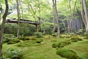 祇王寺