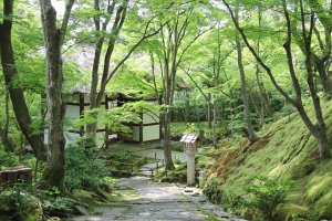 常寂光寺