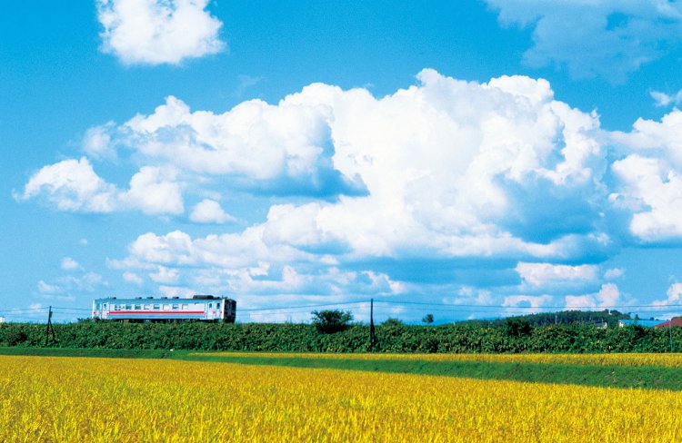 留萌本線は2023年3月をもって留萌～石狩沼田間が廃止となった。写真は北一已（きたいちやん）～秩父別（ちっぷべつ）間。