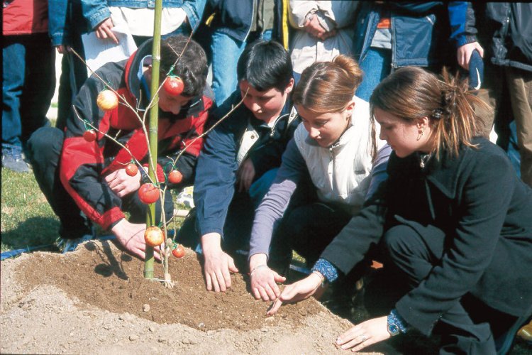 （C）Kaki Tree Project, Courtesy of Akio Nagasawa Gallery。