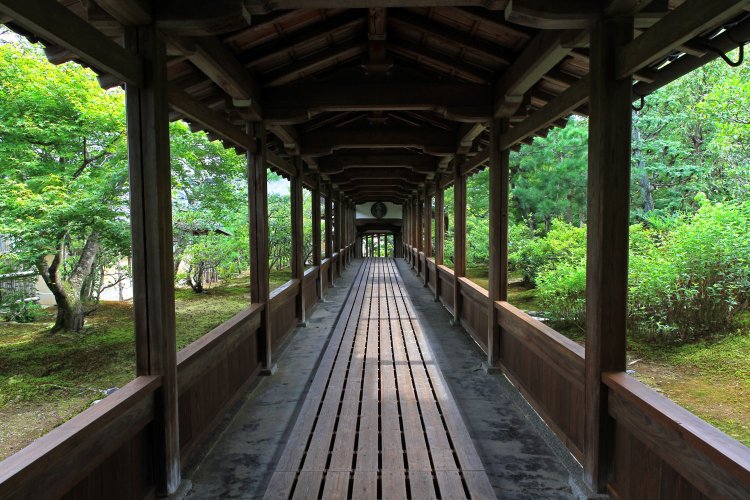 新緑の庭をまっすぐに貫く渡り廊下。書院と多宝殿をつなぐ。