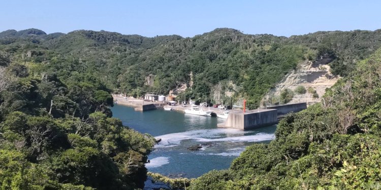 高台からは漁船が見える。新鮮な海の幸も人気。