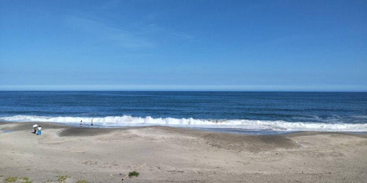 太平洋の海はやや波が高く、風も強い。