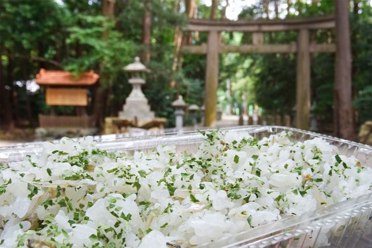 今まで「たでずし」を作って友人知人に販売していた方が引退宣言をされたので、今秋の祭りではどうなるのか気になるところ。