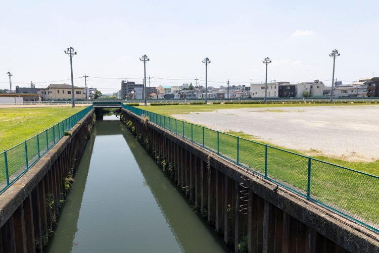 _MG_0223ファンキー公園