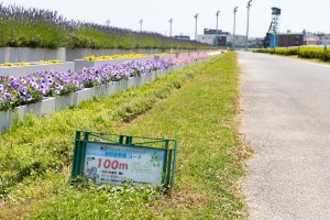 _MG_0389ファンキー公園