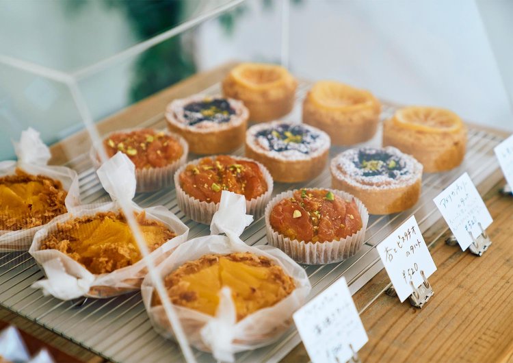 【散歩の達人】独創性を楽しむロマンチックさんぽ