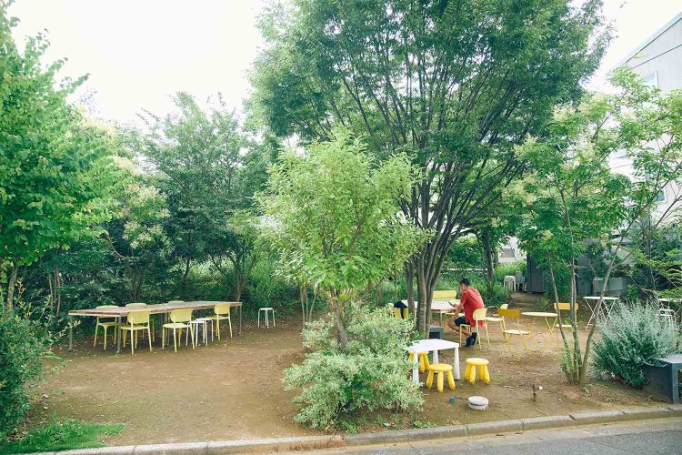 【散歩の達人】独創性を楽しむロマンチックさんぽ