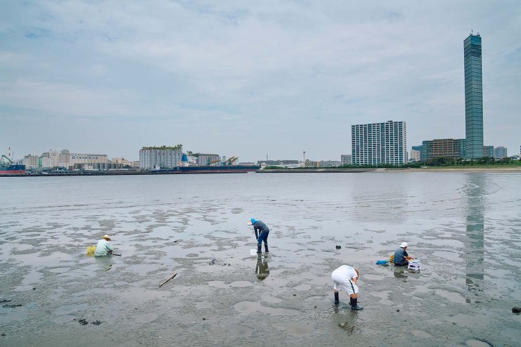 千葉港発祥の地に作られた千葉ポートパーク。干潮時には潮干狩りの客でにぎわう。晴れると夕暮れがきれい。