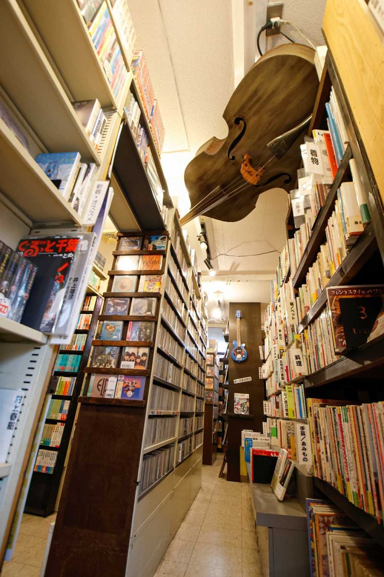 【散歩の達人】ゆるっとのんびりベイサイドさんぽ