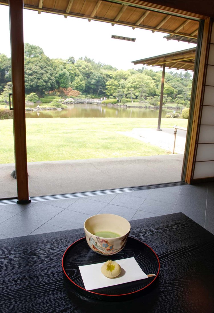 【散歩の達人】ゆるっとのんびりベイサイドさんぽ