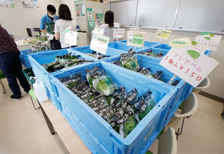 【散歩の達人】ゆるっとのんびりベイサイドさんぽ