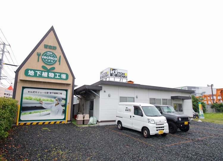 【散歩の達人】ゆるっとのんびりベイサイドさんぽ