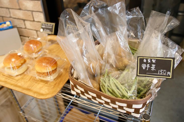 【散歩の達人】ゆるっとのんびりベイサイドさんぽ