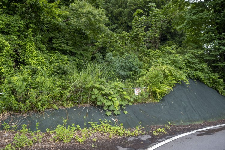 最後に訪れたのは長野原草津口駅の東側。構内外れは旧線跡の合流部分で、留置線となっている。現在線の橋梁がかなり立派だ。