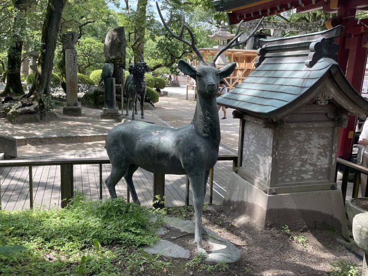 福岡県「太宰府天満宮」の鹿