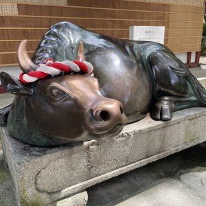 神社仏閣で見かける動物たちには意味がある！稲荷の狐に奈良の鹿、牛やうさぎも！その由来を徹底解説！【実在の動物編】