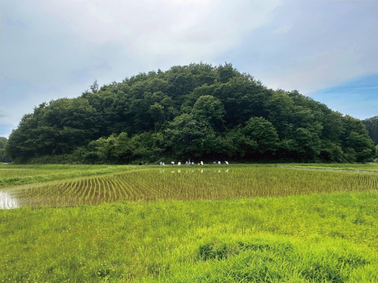 「nogashi trail」で田植えの頃の里山歩きの様子。