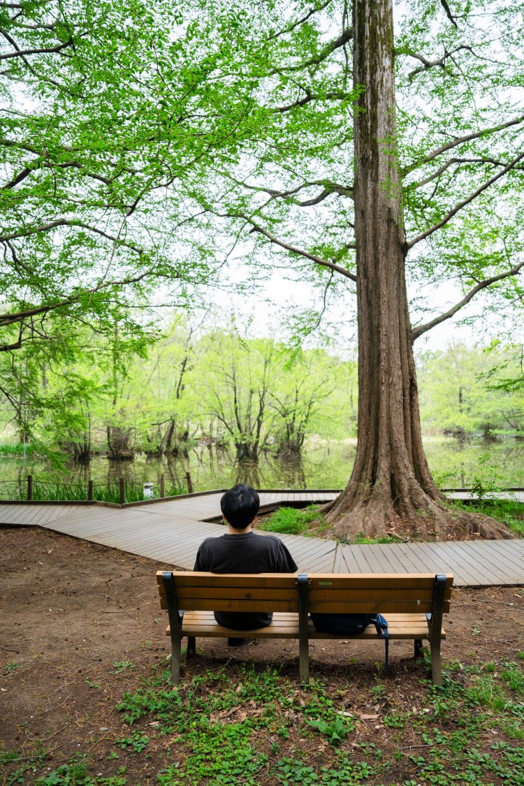 まるで避暑地のような爽やかさ！