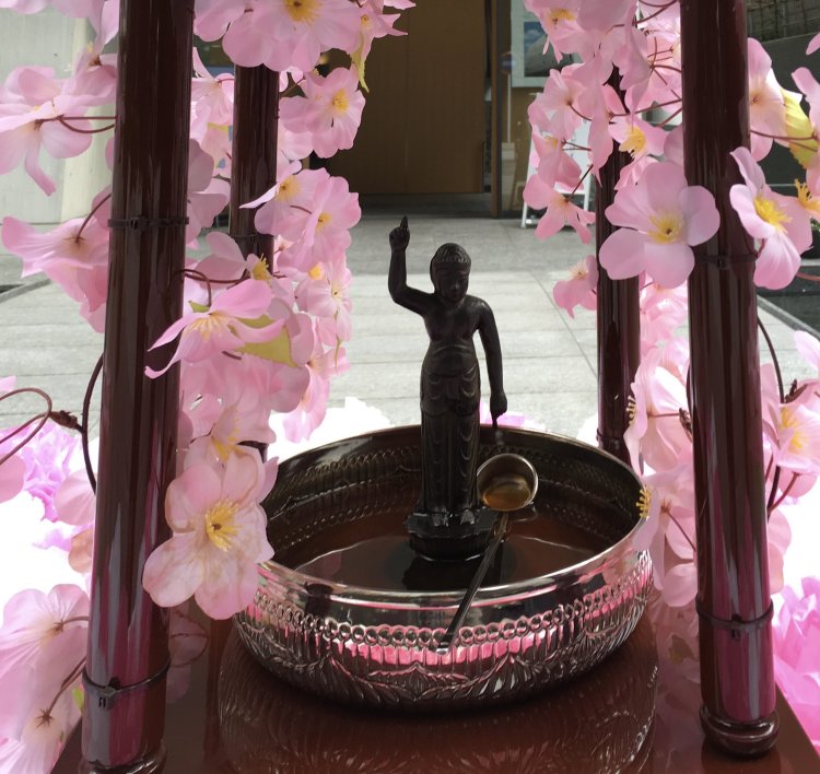 東京都中央区「築地本願寺」の誕生釈迦仏。