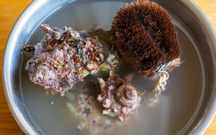 【東京おでんだね】おでんのサザエの調理方法