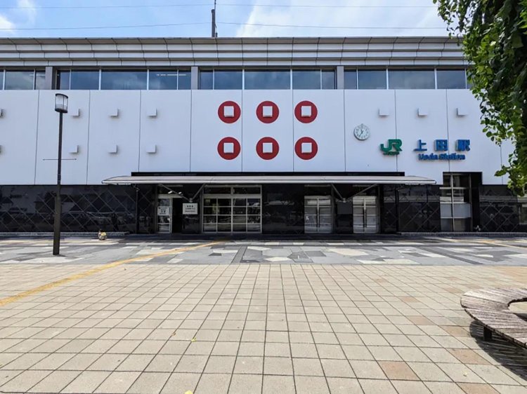 【酒場ナビ】鯉西 つけば小屋