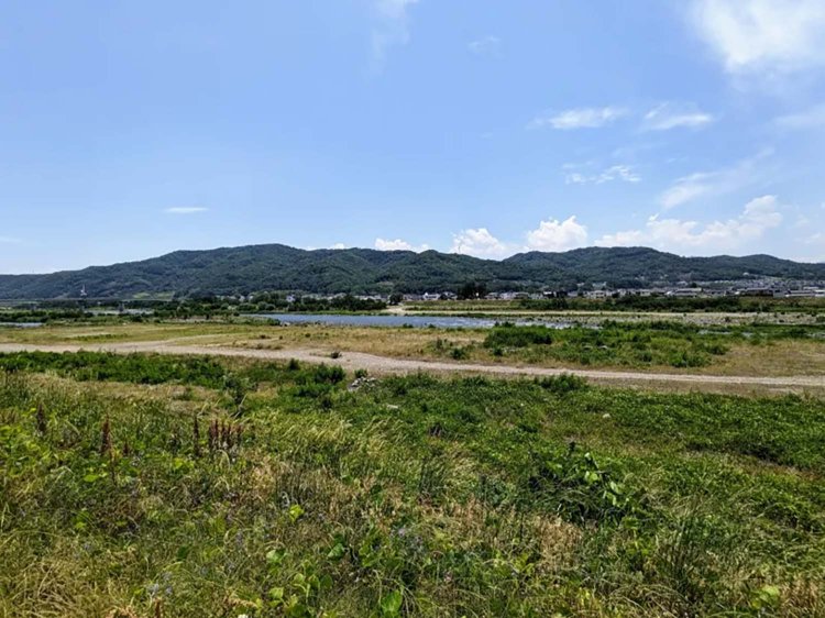 【酒場ナビ】鯉西 つけば小屋