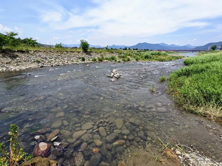 【酒場ナビ】鯉西 つけば小屋