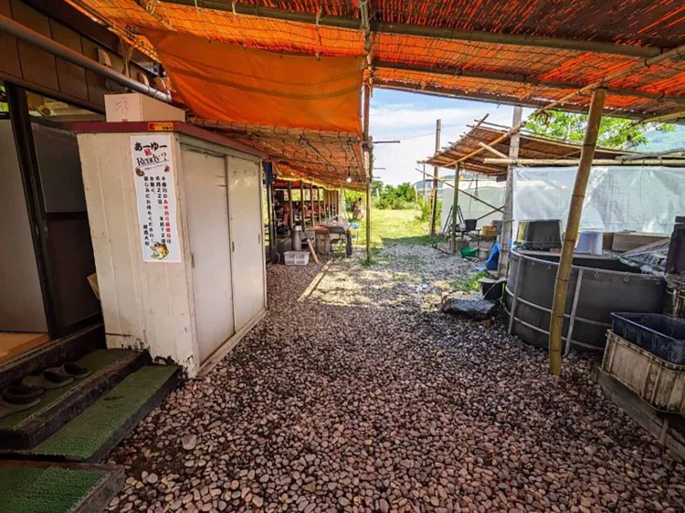 【酒場ナビ】鯉西 つけば小屋