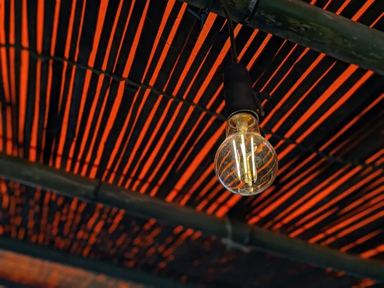 【酒場ナビ】鯉西 つけば小屋