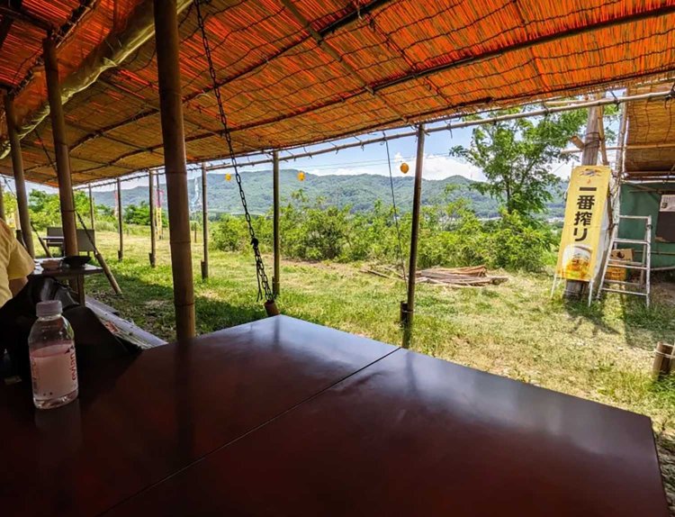 【酒場ナビ】鯉西 つけば小屋