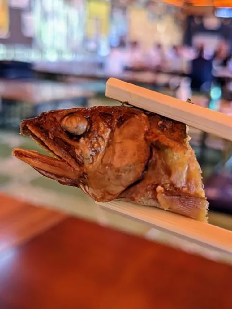 【酒場ナビ】鯉西 つけば小屋