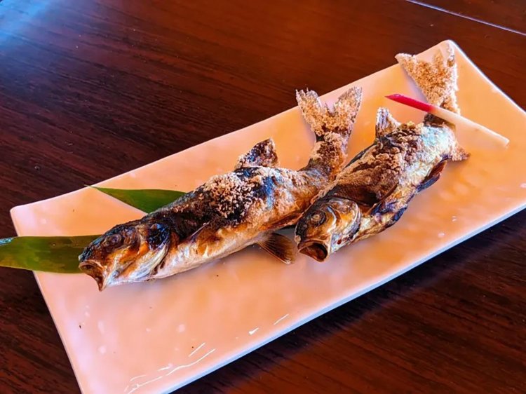 【酒場ナビ】鯉西 つけば小屋