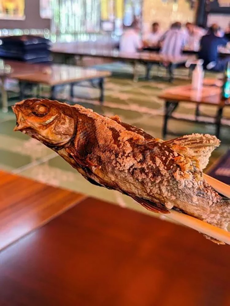 【酒場ナビ】鯉西 つけば小屋