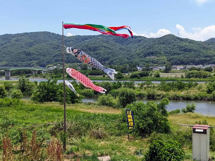 【酒場ナビ】鯉西 つけば小屋