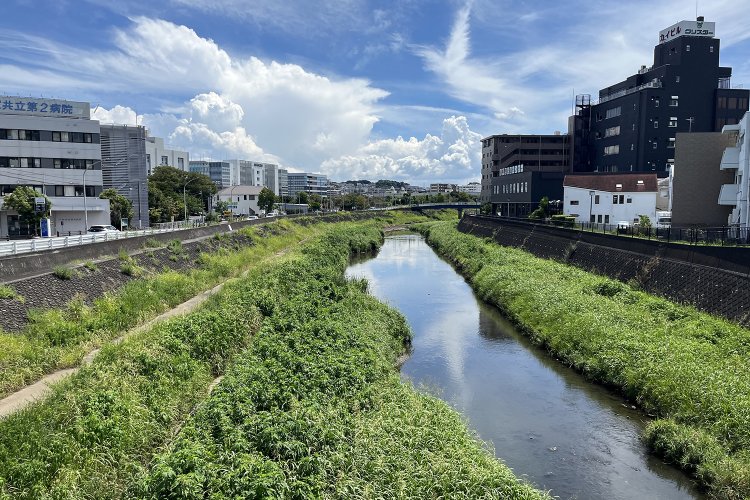 再び柏尾川を渡る吉田大橋は、歌川広重が描いた戸塚宿の浮世絵で有名。